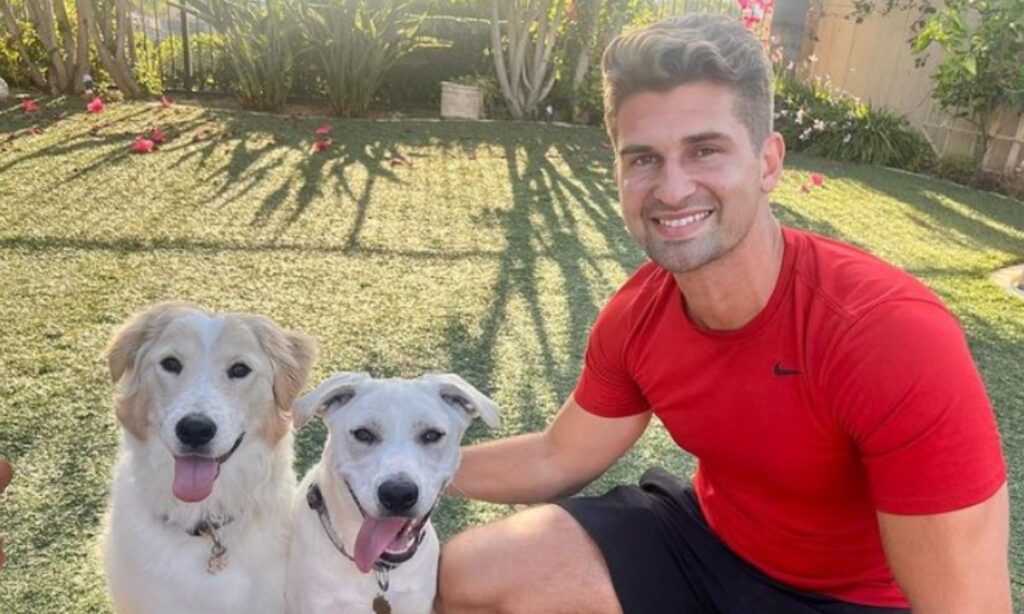 social-media-presence 