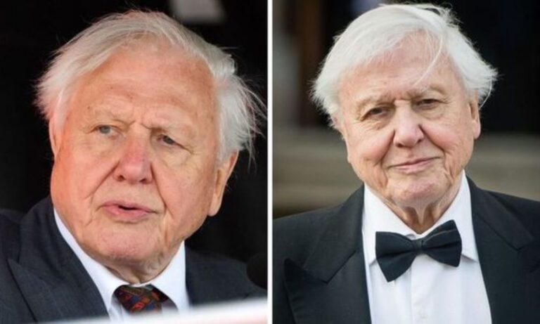 robert-attenborough-the-lesser-known-son-of-david-attenborough